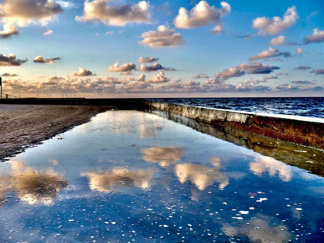 Reflections on fear, envy, anger and hate