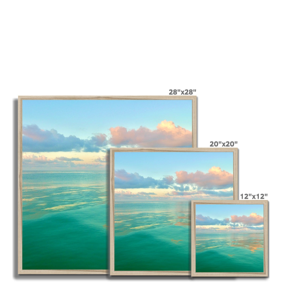 Rise and Float Framed Print